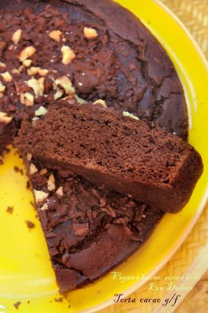 Torta al cacao gluten-free
