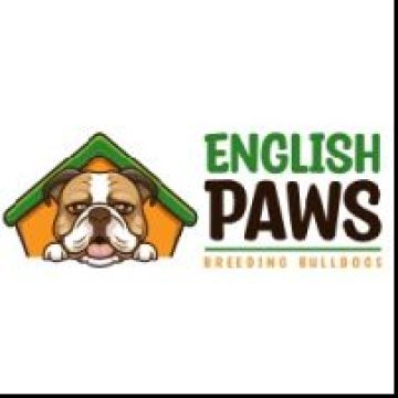 English paws