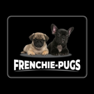 Frenchie Pugs