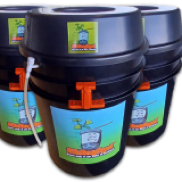 5 gallon bucket  hydroponic system