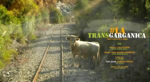 #LA TRANSGARGANICA: SPIRITI TRANSUMANTI IN VIAGGIO VERSO IL SALENTO