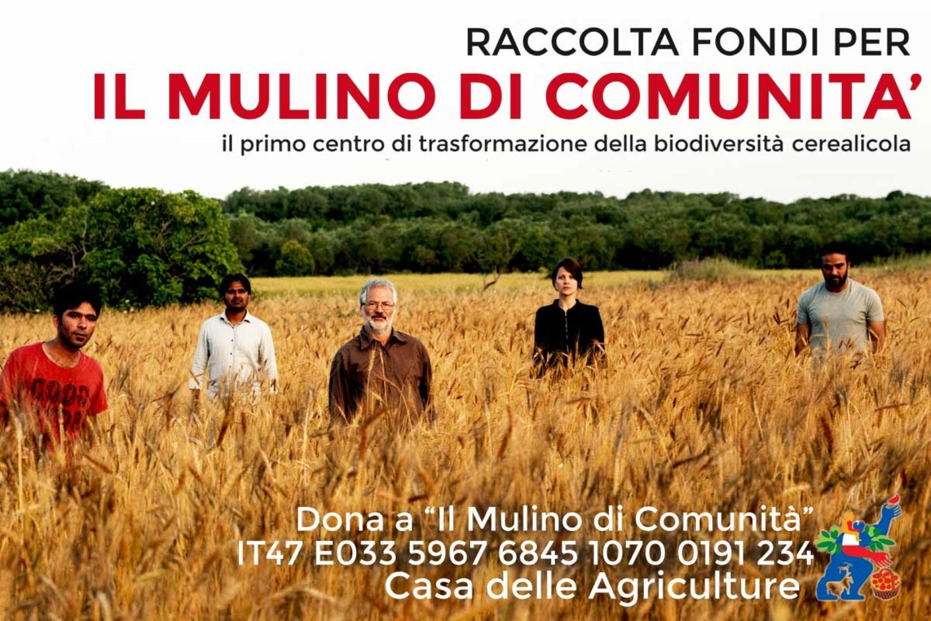 Campagna per un Mulino di Comunitu00e0 in Salento!